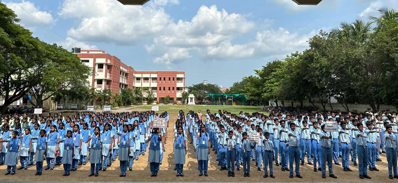 Our School